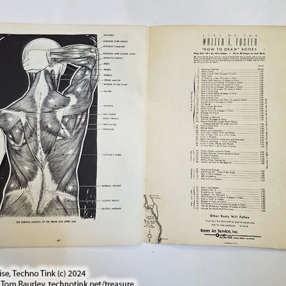 Anatomy by Walter T Foster: Anatomy for Teachers and Students - Picture 9 of 10
